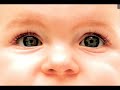 5/6 - What is a Human Being