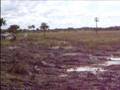 videos de FUN RACE 4X4 V VALIDAD CARARIVE 2008 EXTREMO