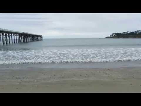 Video for William R. Hearst Memorial State Beach