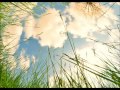 Click here to watch this video 劇場版エスカフローネより『Ｓora』を【全部俺】で歌ってみた