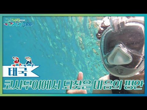 마음의 평안을 되찾을 수 있는 코사무이 [걸어서 세계속으로] | KBS 250823 방송