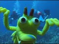 Hawaii Scuba Dive