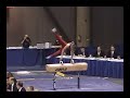 Alexander Artemev Pommel Horse 2005 Winter Cup