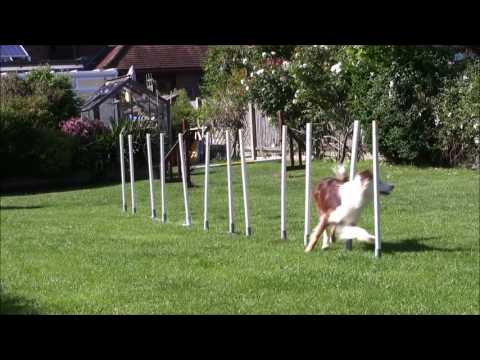 Session 32 again with slow motion