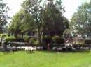 Tweelingdorp013   Schaap &amp; Co13   speeltuin05   3.46