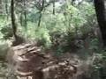 jayagiri