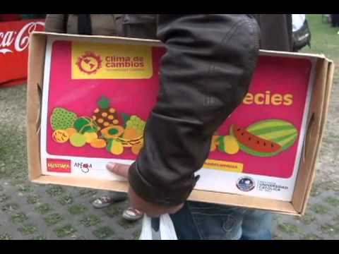 En Mistura se utilizan bandejas de cartón reciclable