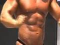 The-Muscles-of-Muscl