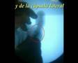 �O�����䓮��4