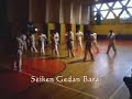 Kihon Geiko Valpo