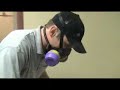 carpenter ant treatment by the experts at innovative pest control