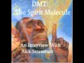 5Dreamland with Whitley Strieber and Rick Strassman 03-03-07. Pt. 5/5