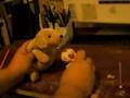 videos de The Adventures Of Daisy Dog and Happy Bear