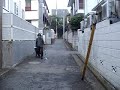 shimokita-viewtest