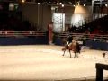 RLM de Philippe Siat, champion de France PRO1 dressage 2007