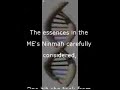 Enki Sumerian Tablet Translation Ch.6 2of6 Enki Sumerian Tablet Translation Ch.6 2of6