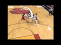 Dwyane Wade's Driving Finesse
