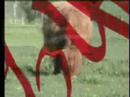 promo vj cutz to show the skills of the blauton livevisuals show !!!