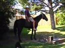 Blackie and I say hello