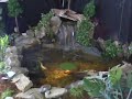 Learning To Mimic Nature