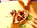 ROBOT KIT: OWI-MSK678 VALIANT VIKING SHIP