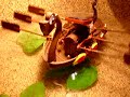 ROBOT KIT: OWI-MSK678 VALIANT VIKING SHIP
