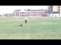 Deja v. Kathedrale \"Lux\" Doberman obedience and protection Deja v. Kathedrale \"Lux\" Doberman obedience and protection