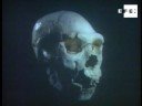 Exposición sobre Atapuerca muestra últimos hallazgos arqueológicos .