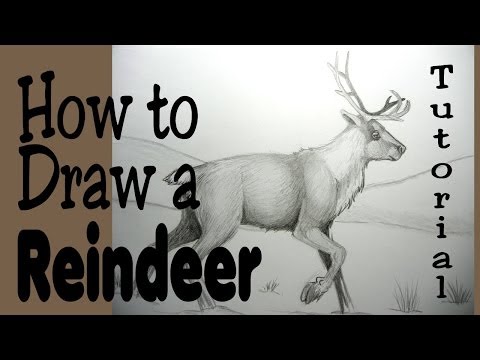 how to draw reindeer