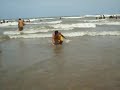 (nadando.AVI