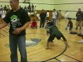 shyne/crash test dummies vs underground flo