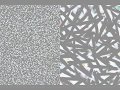 Abstract Dialog