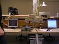 inverted pendulum