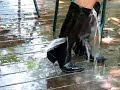 paul  bond  boots  sprang  a  leak
