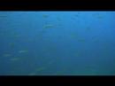 the-medes-islands-by-guille-cervera.html
