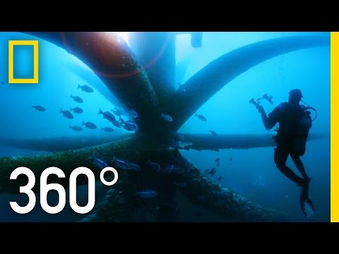 360° Dive Through an Oil Rig Ecosystem | National Geographic - YouTube