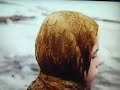 Lilith - monkey