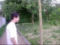 videos de Pedro e o Pé de Mamão