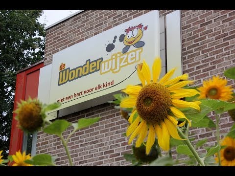 YouTube voorvertoningsafbeelding