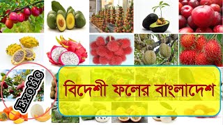 বিদেশী ফলের বাংলাদেশ (Exotic Fruits in Bangladesh)