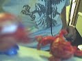 bakugan video bakugan video
