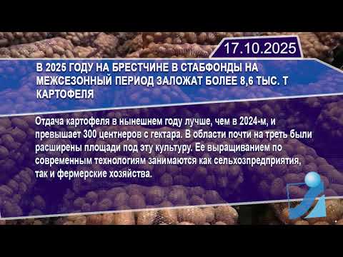 Новостная лента Телеканала Интекс 17.10.25.