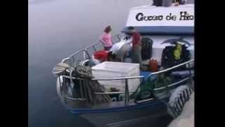 Campeonato Nacional de fotografía Submarina NAFOSUB 2006