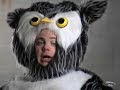 The Owl And The Man : Part 1