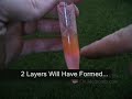 How to make a glowing tomato