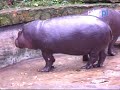 Zoo w Opolu przygotowuje się do nadejścia jesieni.