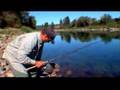 River2Sea's Yabbie Demonstration