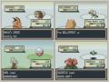 Let-s-race-pokemon-L