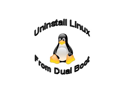 how to remove dual boot