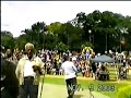 la grey zuliana en vivo